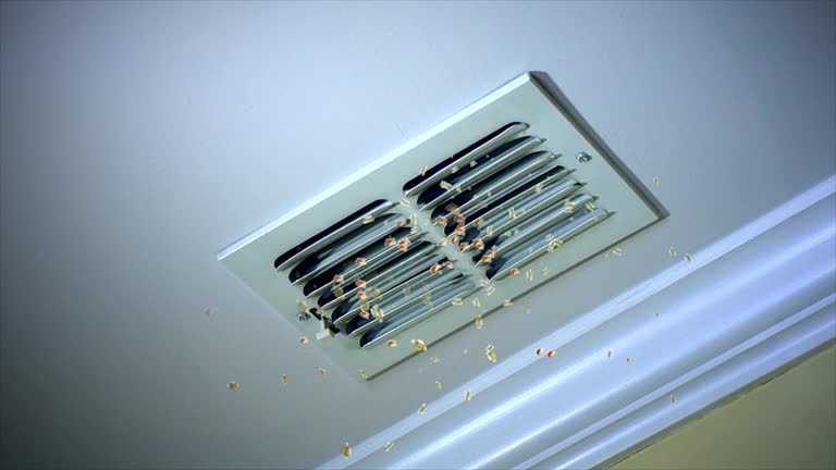 Best Commercial HVAC Duct Cleaning  in Wesley Chapel, FL