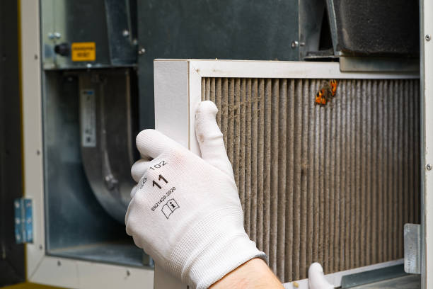 Best Affordable Air Duct Cleaning  in Wesley Chapel, FL