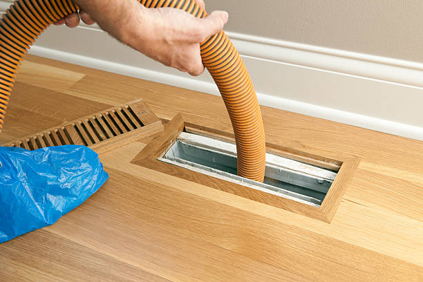 Best Local Air Duct Cleaning Services  in Wesley Chapel, FL